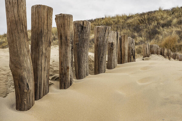 Domburg - Close-up to Timber Piles and Grass Dunes / Netherlands