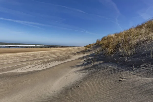 Domburg - View to Grass Dunes with only a few people on the Beach / Netherlands