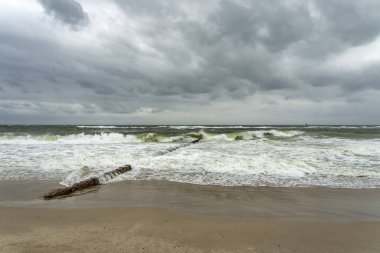 Sylt - Wenninstedt Sahilinde Sert Rüzgâr, Schleswig-Holstein, Almanya 08.06.2019