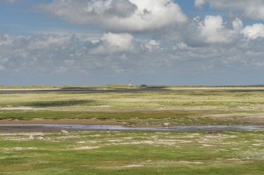 Sylt - Almanya 'nın kuzeyinde Schleswig-Holstein eyâletinde, Elbow' daki deniz ve deniz fenerine bakın, 09.06.2019