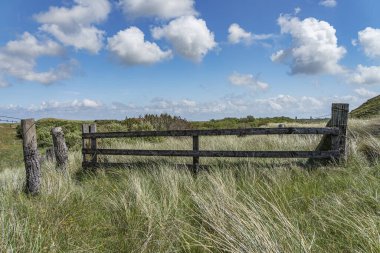 Sylt - Liste Limanı / Almanya yakınlarındaki çayırlara bak