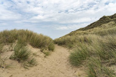 Sylt - Kampen Cliff / Almanya 'daki Kum tepelerine ve otlaklara bak