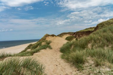 Sylt - Kampen Cliff / Almanya 'daki Çimlere ve Kumullara Bak