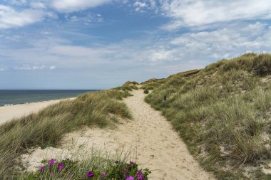 Sylt - Kampen Cliff / Almanya 'da Çimen Kumları' nın yanında yürüyüş