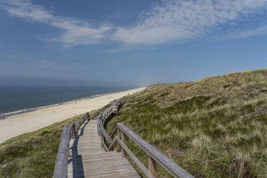 Sylt - Almanya 'nın kuzeyinde Schleswig-Holstein eyâletinde, Wenningstedt' teki Grass Dunes ve Beach 'e doğru tahta kaldırım manzarası