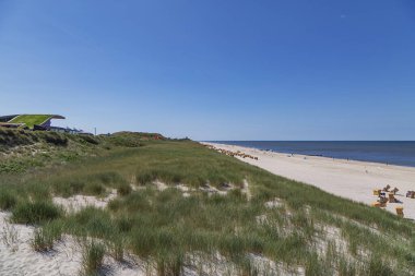 Sylt - Wenningstedt Sahili 'nde Çimen Kumulları, Schleswig-Holstein, Almanya, 06.06.2018