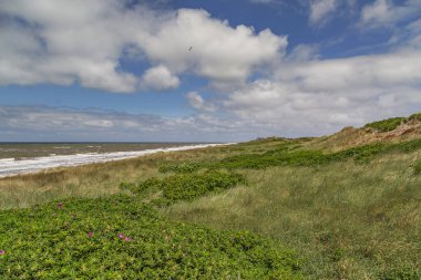 Sylt - Almanya 'nın kuzeyinde Schleswig-Holstein eyâletinde, muhteşem gökyüzü bulutlarıyla Rantum' daki kum tepelerine bakın.
