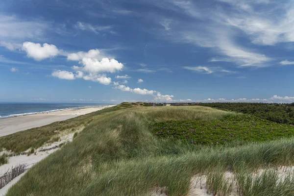 Sylt Pohled Travnaté Duny Pláž Rantum Šlesvicko Holštýnsko Německo 2019 — Stock fotografie