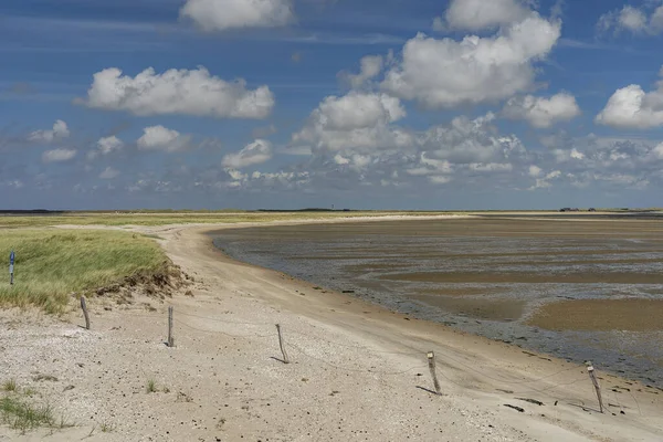 Sylt Veduta Sulla Riserva Naturale Del Mare Wadden Nei Pressi — Foto Stock