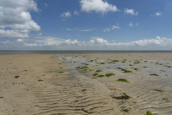 Sylt Θέα Στη Θάλασσα Wadden Στο List Low Tide Γερμανία — Φωτογραφία Αρχείου