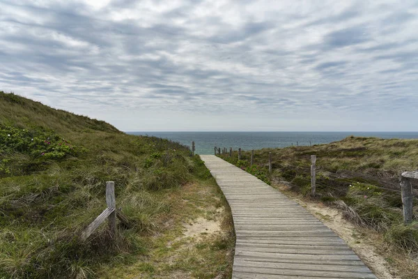 Sylt View Boardwalk Grass Dunes Kampen Red Cliff Germany — стокове фото