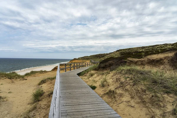 Sylt View Boardwalk Grass Sand Dunes Kampen Cliff Germany — стокове фото