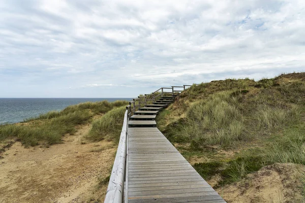 Sylt View Boardwalk Grass Sand Dunes Kampen Cliff Germany — стокове фото