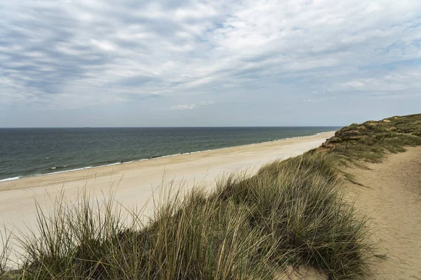 Sylt Panorama View Grass Dunes Θέα Στη Βόρεια Θάλασσα Στο — Φωτογραφία Αρχείου