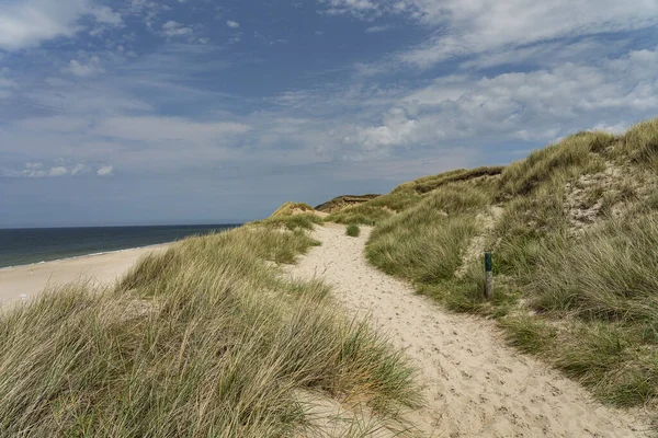 Sylt Kampen Cliff Germanyの砂丘を見る — ストック写真