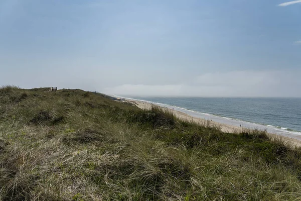 Sylt - Wenningstedt, Holstein, Almanya 'daki Grass Dunes ve Beach' e bakın, 05.06.2018