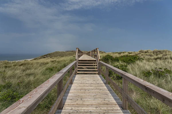 Sylt 德国温宁斯泰特海滩的木板人行道和草地沙丘景观 — 图库照片