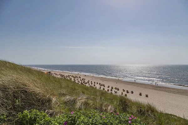 Sylt Panorama Vista Desde Las Dunas Wenningstedt Beach Schleswig Holstein — Foto de Stock