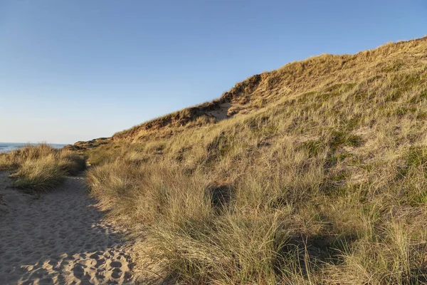 Vandringsled Till Den Röda Klippan Sylt Tyskland — Stockfoto