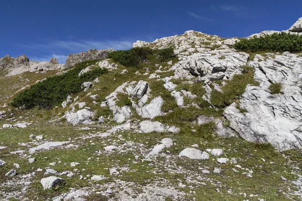 Oberstdorf Στενή Διαδρομή Πεζοπορίας Στο Βουνό Nebelhorn Βαυαρία Γερμανία Oberstdorf — Φωτογραφία Αρχείου