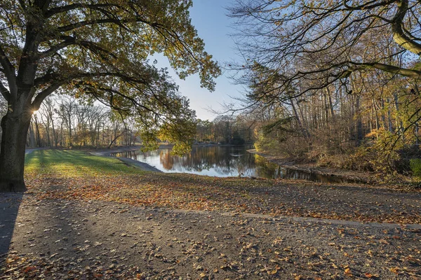 德国日落时分 Krefeld市城市公园的秋天 — 图库照片