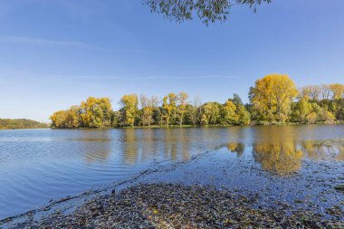 Xanten / Almanya 'da Sonbahar Renkleri ile Ren Nehri' nin Koluna Bak
