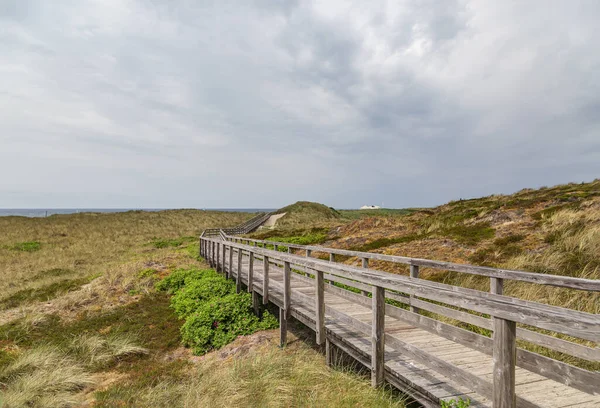 Sylt Вид Дерев Яної Променади Пляж Камппен Шлезвіг Гольштейн Німеччина — стокове фото