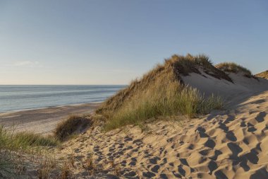 View from Dunes Boardwalk to Sylt-Kampen Beach / Germany