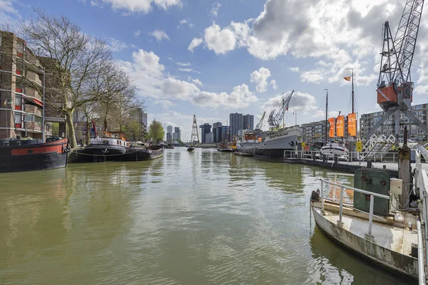 Rotterdam View Museums Harbor Kop Van Zuid Skyline Olanda Meridionale — Foto Stock