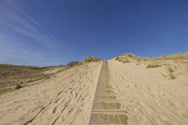 View to Grass Dunes at Domburg to access the Beach / Netherlands