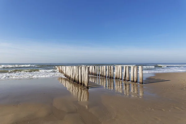 Reflections Timber Piles Domburg Beach Paesi Bassi — Foto Stock