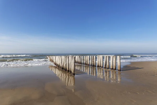 Reflexões Impressionantes Estacas Madeira Praia Domburg Holanda — Fotografia de Stock