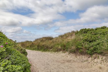 Hiking Path through the Dunes towards Sylt-Rantum Beach / Germany