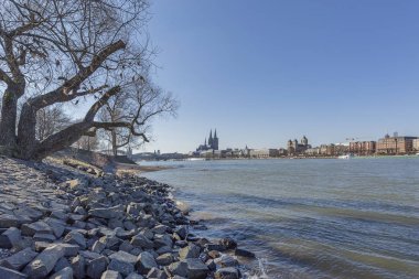 Köln - Ren Nehri 'nin Su Tarafından Katedral ve Hohenzollern Köprüsü' ne, Kuzey Ren-Vestfalya, Almanya, Köln, 23.02.2018