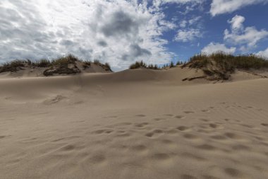 The wind has smoothed the sand at Sylt-Wenningstedt / Germany