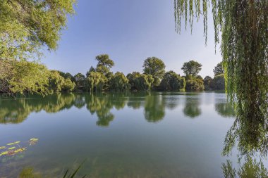 Krefeld / Almanya 'daki sakin göle bak
