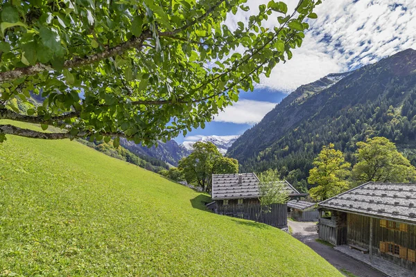 Gerstruben 参观农舍和谷仓 以及远处的阿尔卑斯山全景 Oberstdorf 2017 — 图库照片