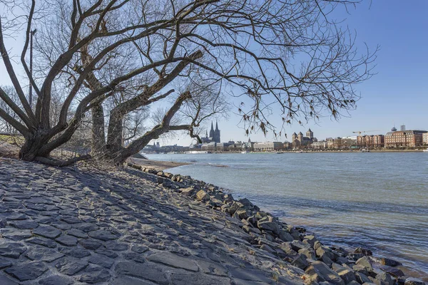 Κολωνία Θέα Από Τον Ποταμό Ρήνο Έως Τον Καθεδρικό Ναό — Φωτογραφία Αρχείου