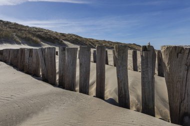 Domburg- Çimen kum tepeciklerindeki kereste yığınlarına bak / Hollanda