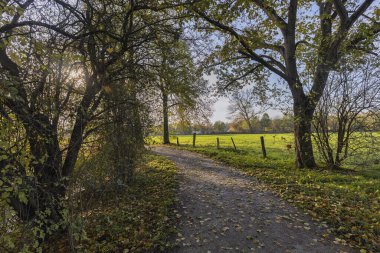 Krefeld-Linn - Linn / Almanya Kalesi yakınlarındaki çayırlara bak