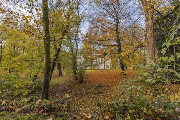 Krefeld Bockum Parkview Rearside House Neuenhofen Autumn Mood North Rhine — Stock Photo, Image