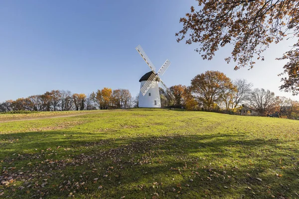 Krefeld Traar Egelsberg Windmill Den Yan Yana Sonbahar Renkli Ağaçlar — Stok fotoğraf