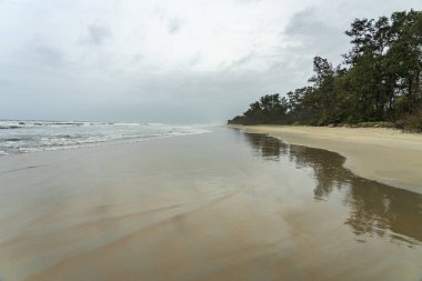 Güney Goa - Sonsuz Cavelossim Sahili / Hindistan
