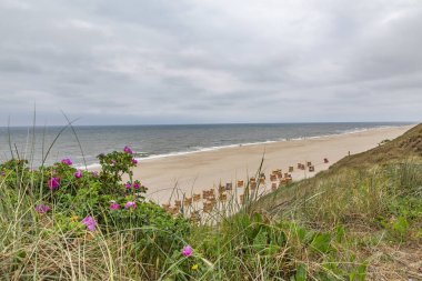 Sylt - Summertime, Holstein-Holstein, Almanya, Sylt, 10.06.2018 Wenningstedt Sahili