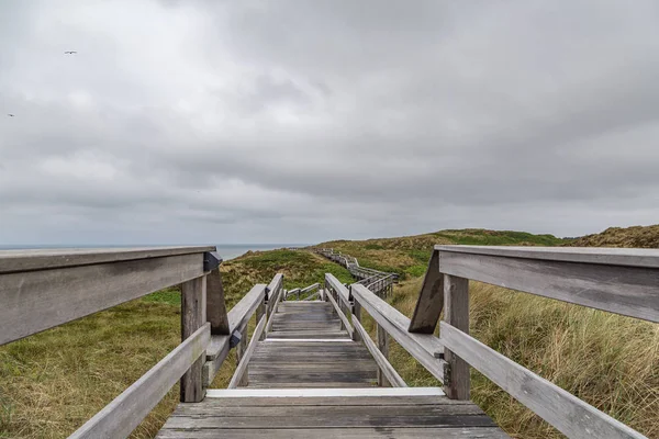 Caminhadas Madeira Longo Praia Nas Dunas Sylt Alemanha — Fotografia de Stock