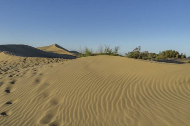 Gran Kanarya / İspanya 'daki Maspalom Kum Desenini Göster