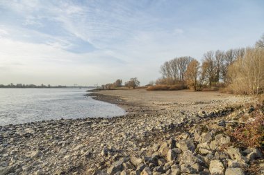 Ren Nehri kıyılarına bakın Ren Kilometre 755 'te bir feribot Ren bölgesi, Duesseldorf, Almanya' ya bağlanıyor.