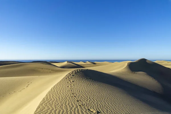 Vista Las Dunas Arena Maspalomas Gran Canaria Con Vista Océano —  Fotos de Stock