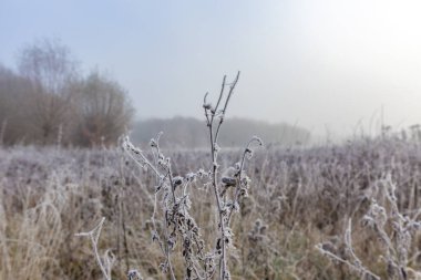Fabrikanın tamamı Buz / Almanya ile kaplandı