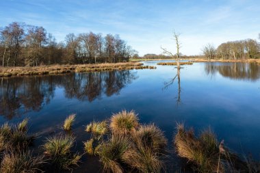 Huzurlu suyla De Witt Gölü
